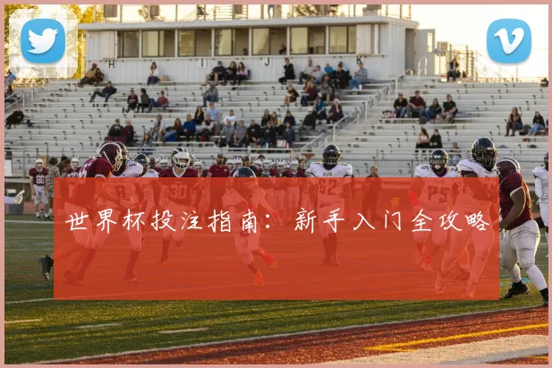 世界杯投注指南：新手入门全攻略