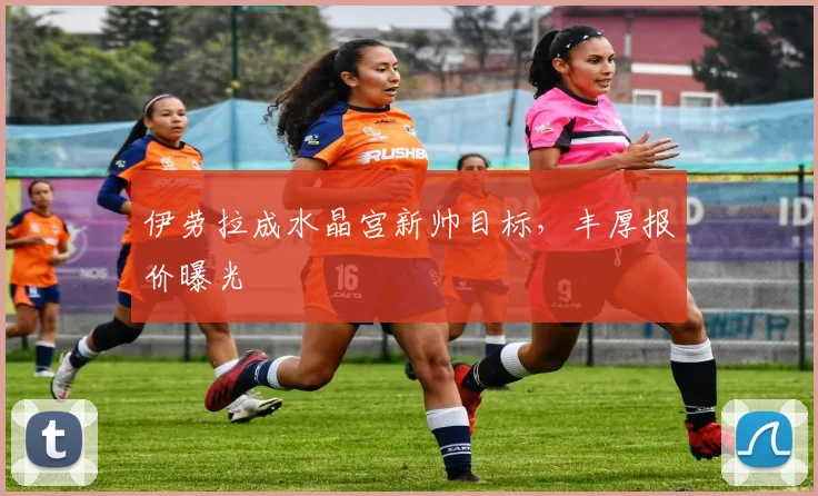 伊劳拉成水晶宫新帅目标,丰厚报价曝光