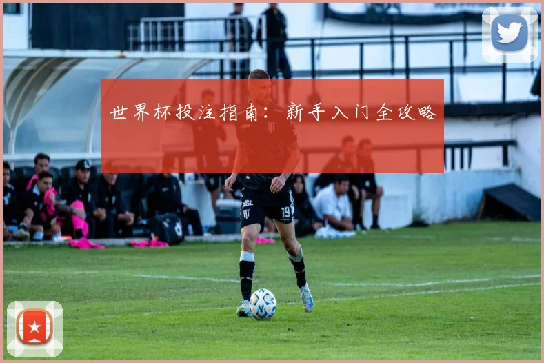 世界杯投注指南：新手入门全攻略